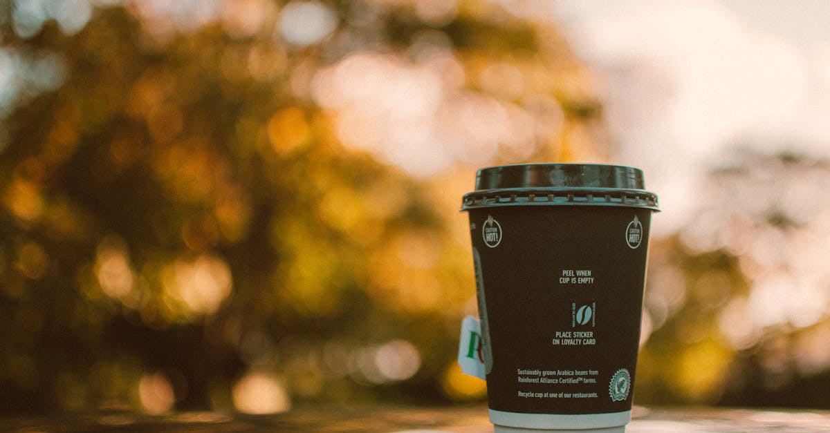 Loggiacoffee Cafe / Restaurant footer